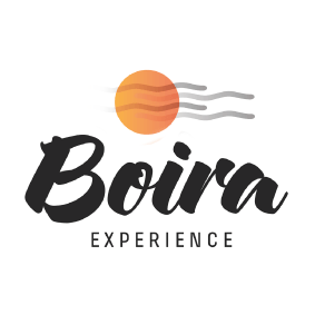 logo-boira